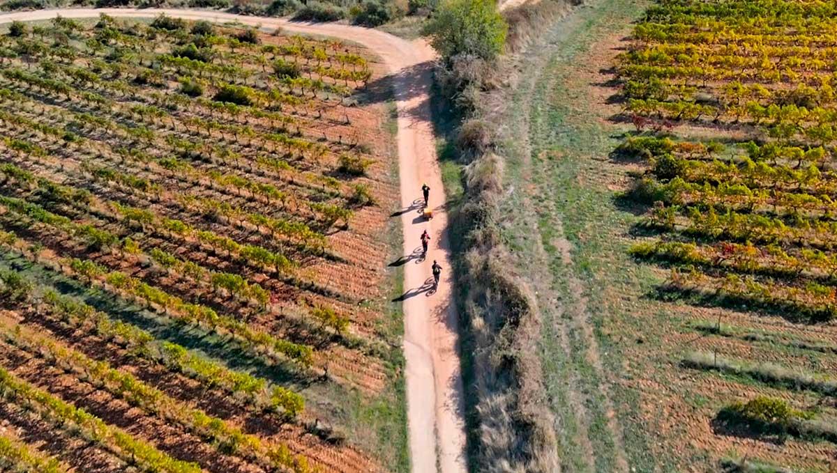 Empresas del Club Navarra en Bici que organizan actividades